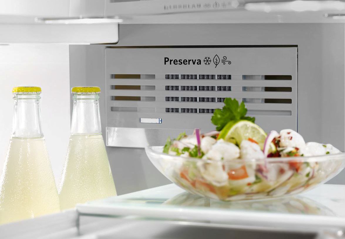 厨房辅助五门法式门冰箱空气保存